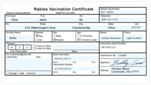 Rabies Vaccine Certificate Template TEMPLATES EXAMPLE TEMPLATES EXAMPLE