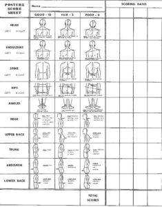 Chiropractic X Ray Report Template 6 TEMPLATES EXAMPLE TEMPLATES