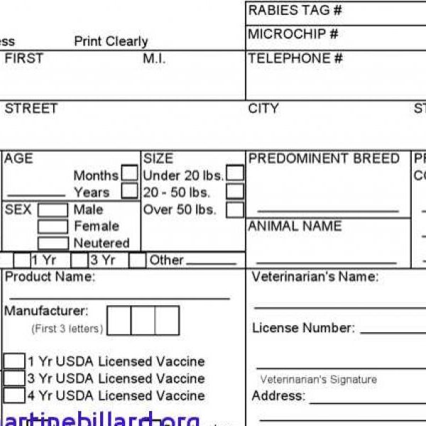 Rabies Vaccine Certificate Template (1) TEMPLATES EXAMPLE TEMPLATES