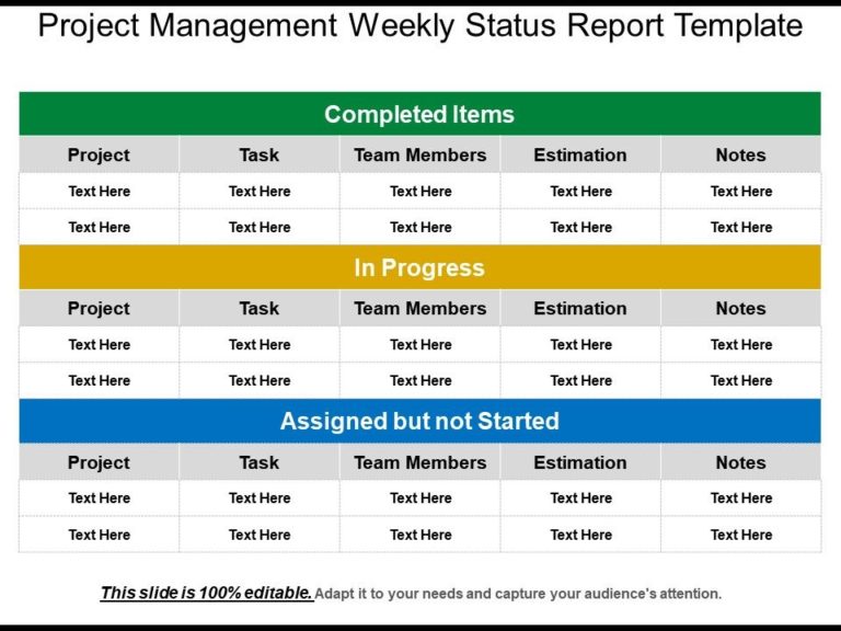 project-weekly-status-report-template-ppt-1-templates-example