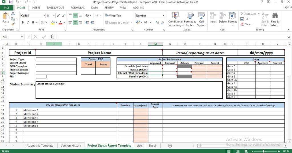 Project Manager Status Report Template (2) - TEMPLATES EXAMPLE ...