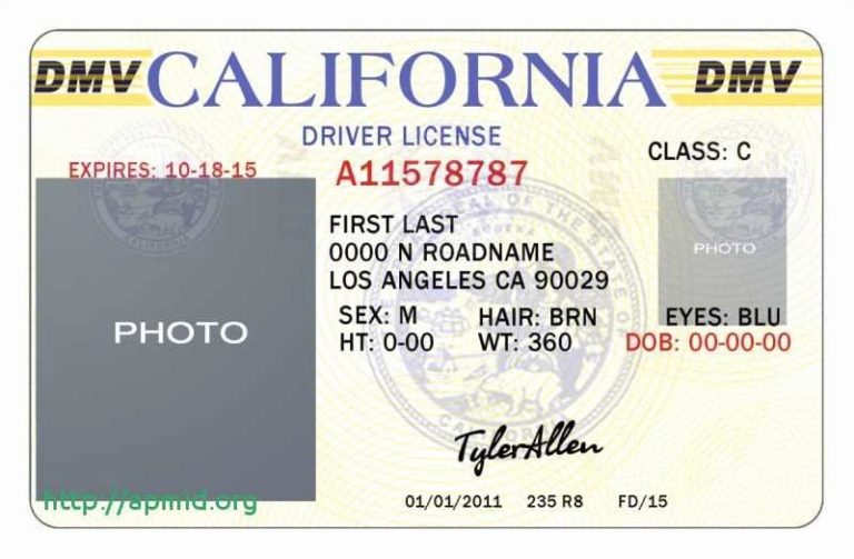 Blank Drivers License Template (7) TEMPLATES EXAMPLE TEMPLATES EXAMPLE