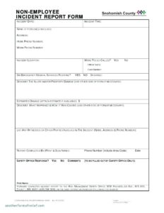 Police Incident Report Template (2) - TEMPLATES EXAMPLE | TEMPLATES EXAMPLE