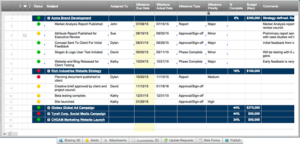 Portfolio Management Reporting Templates (2) TEMPLATES EXAMPLE