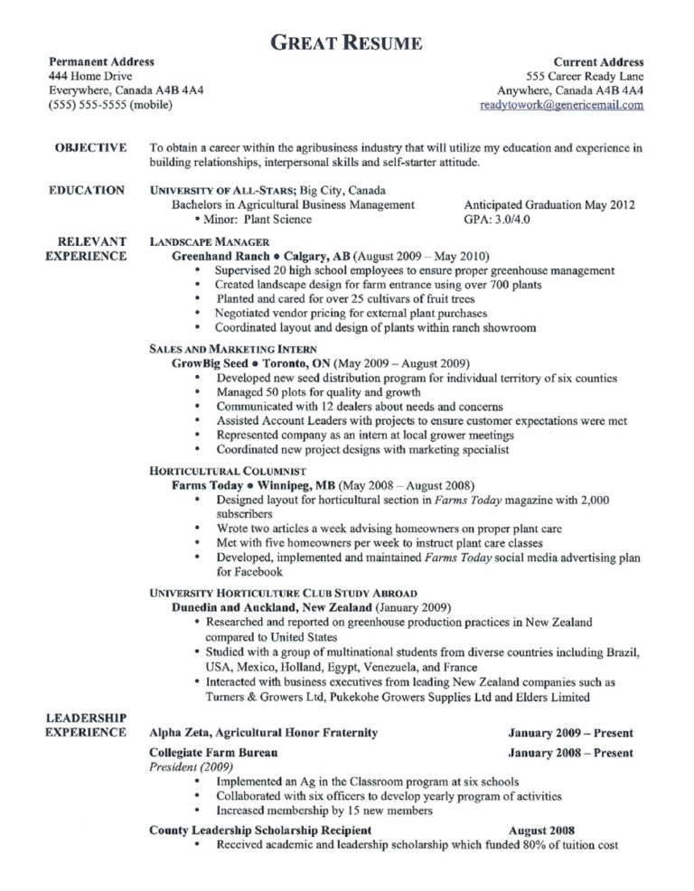 resume template free 2020