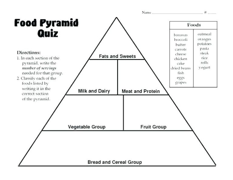 Blank Food Web Template (3) TEMPLATES EXAMPLE TEMPLATES EXAMPLE
