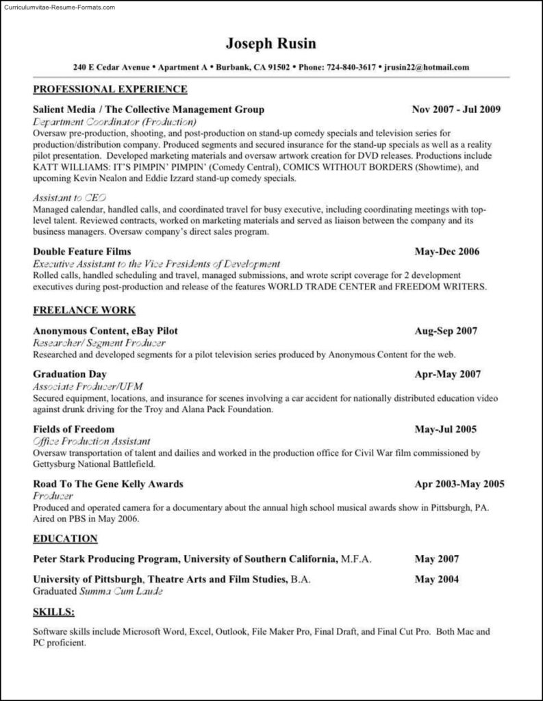 Buy Resume Templates - Templates Example 