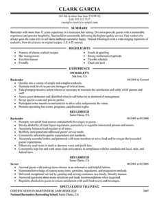 Resume Templates Excel (2) - TEMPLATES EXAMPLE | TEMPLATES EXAMPLE