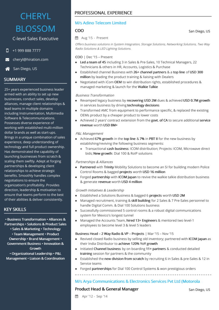 Resume Templates Executive (3) - TEMPLATES EXAMPLE | TEMPLATES EXAMPLE