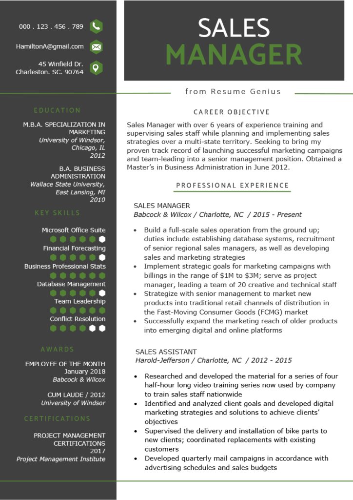 Resume Templates Sales (2) - TEMPLATES EXAMPLE | TEMPLATES EXAMPLE